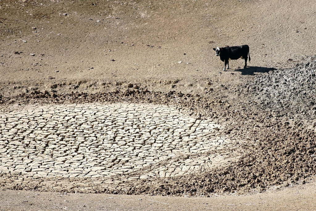 US-German Water Satellites Show Continental Dry Spots Are Getting